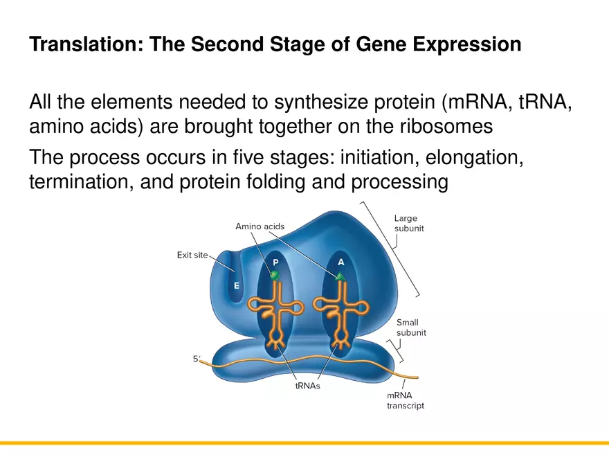 An Introduction to Microbial Genetics Lecture Part 5 - Page 10