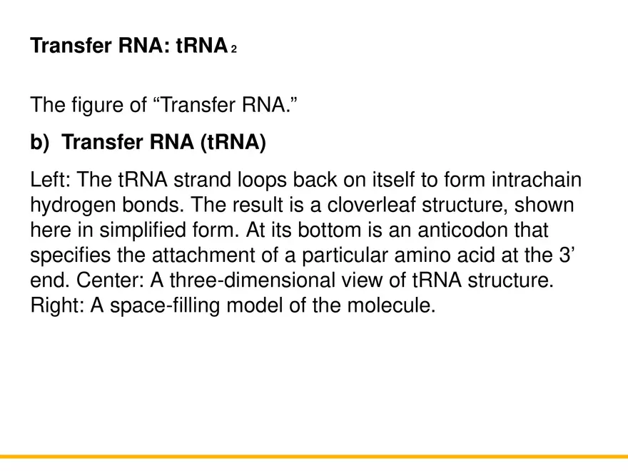 An Introduction to Microbial Genetics Lecture Part 5 - Page 2