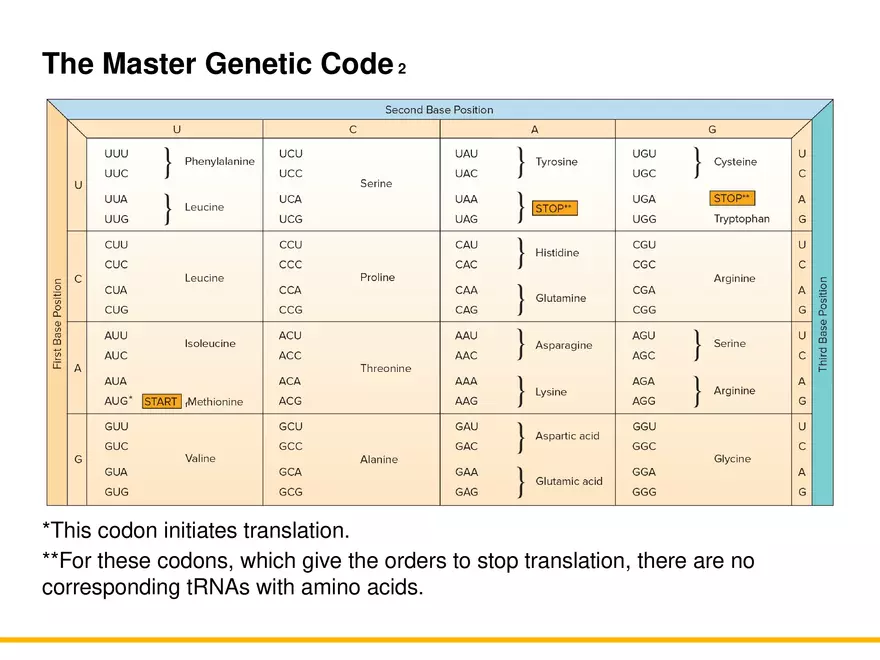 An Introduction to Microbial Genetics Lecture Part 5 - Page 3