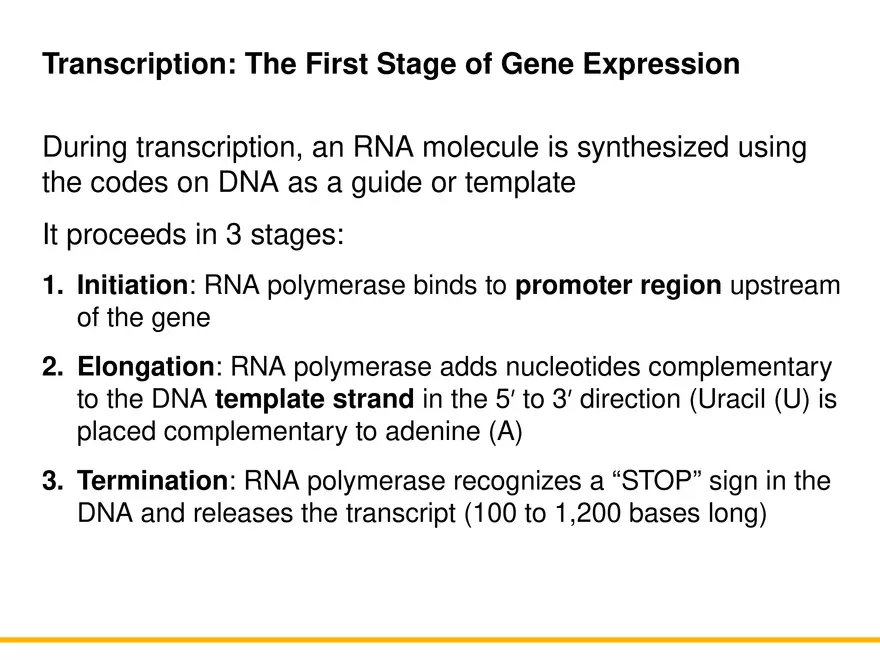 An Introduction to Microbial Genetics Lecture Part 5 - Page 6