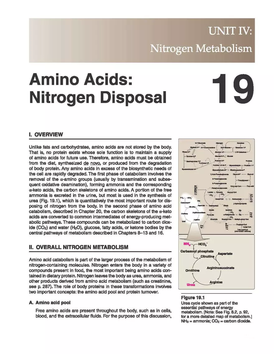 Amino Acids Nitrogen Disposal - Page 1