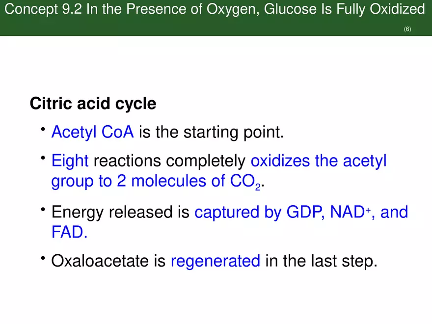 Pathways That Harvest Chemical Energy Lecture Part 3 - Page 8