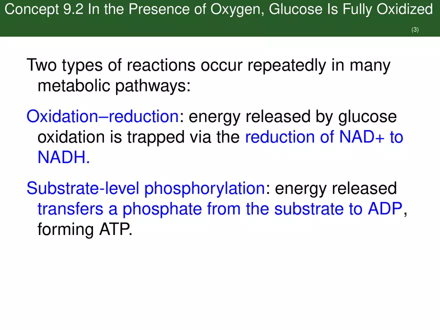 Pathways That Harvest Chemical Energy Lecture Part 3 - Page 1