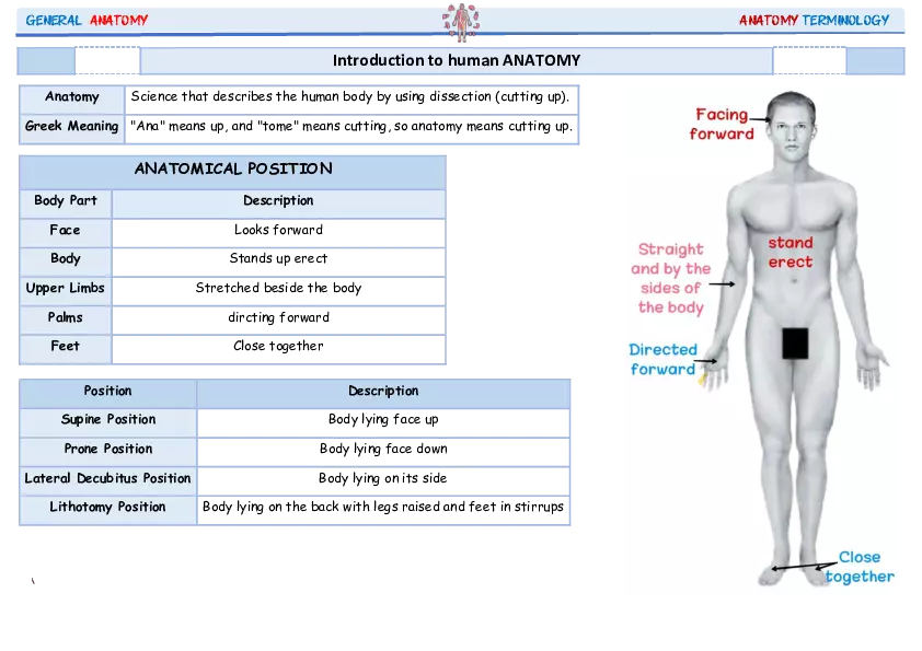 Science That Describes the Human Body By Using Dissection - Page 1