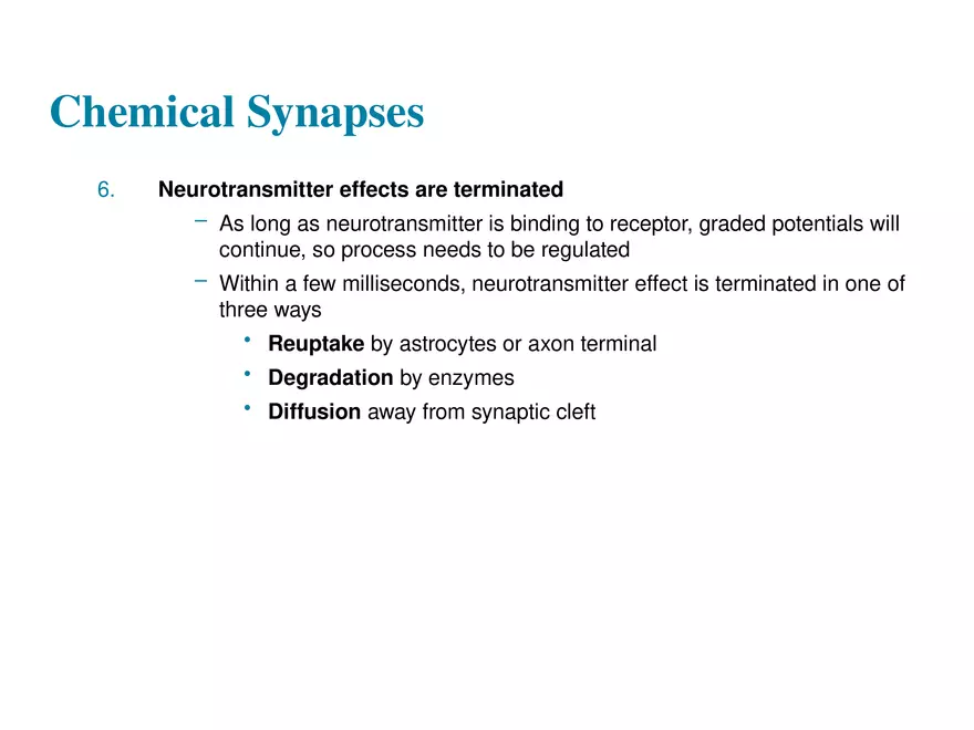 Fundamentals of the Nervous System and Nervous Tissue Lectrure 10 - Page 8
