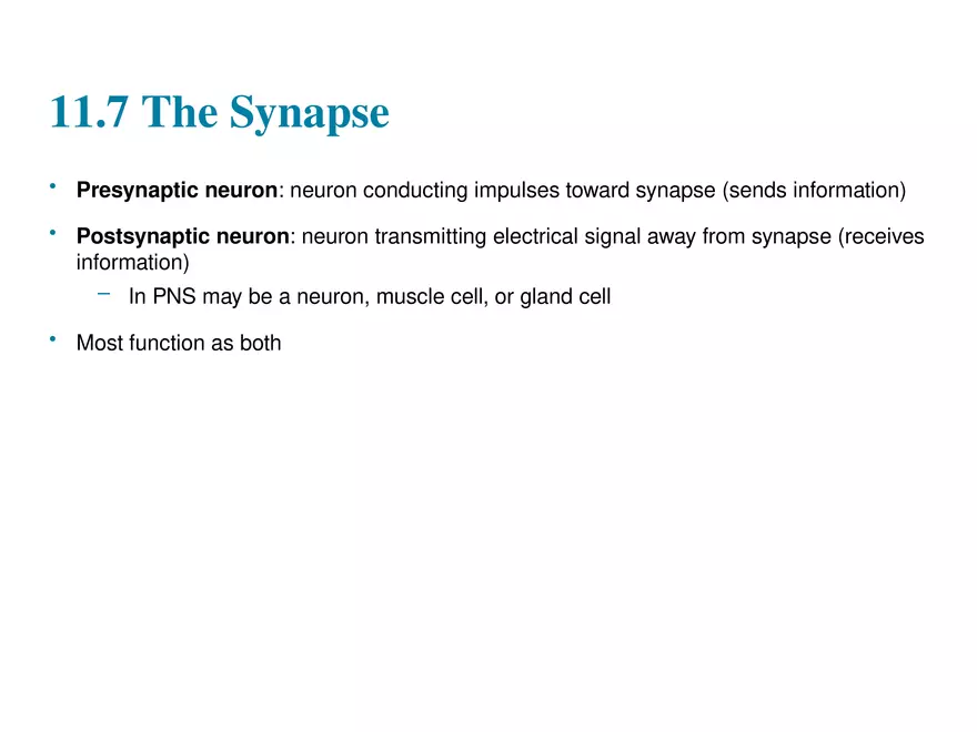Fundamentals of the Nervous System and Nervous Tissue Lectrure 10 - Page 10