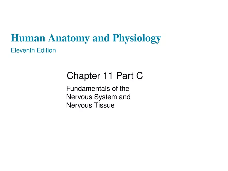 Fundamentals of the Nervous System and Nervous Tissue Lectrure 10 - Page 1