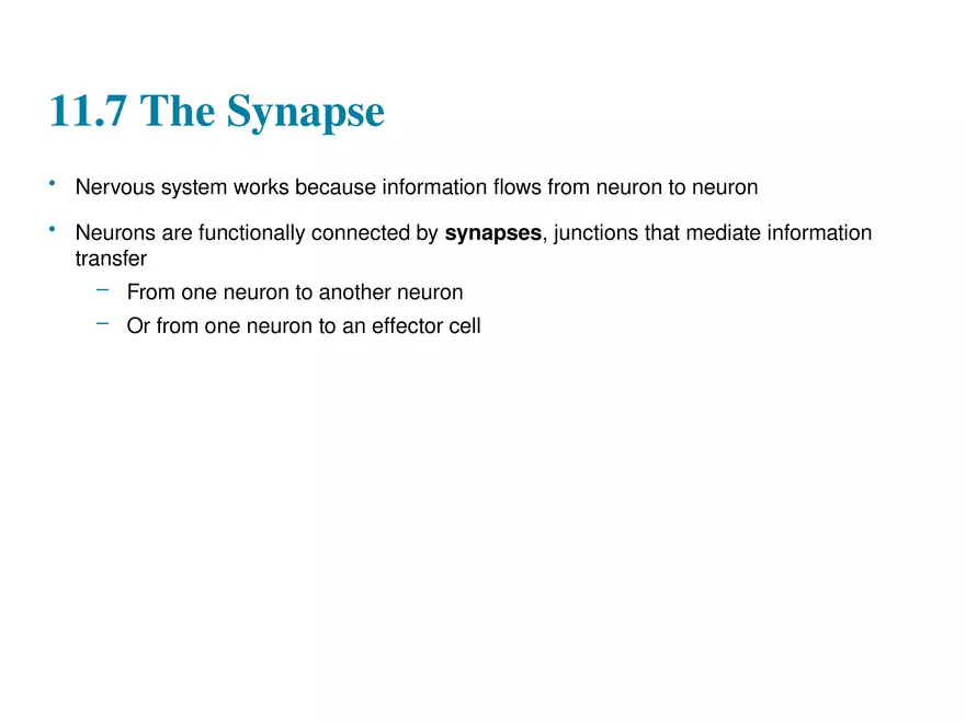 Fundamentals of the Nervous System and Nervous Tissue Lectrure 10 - Page 2