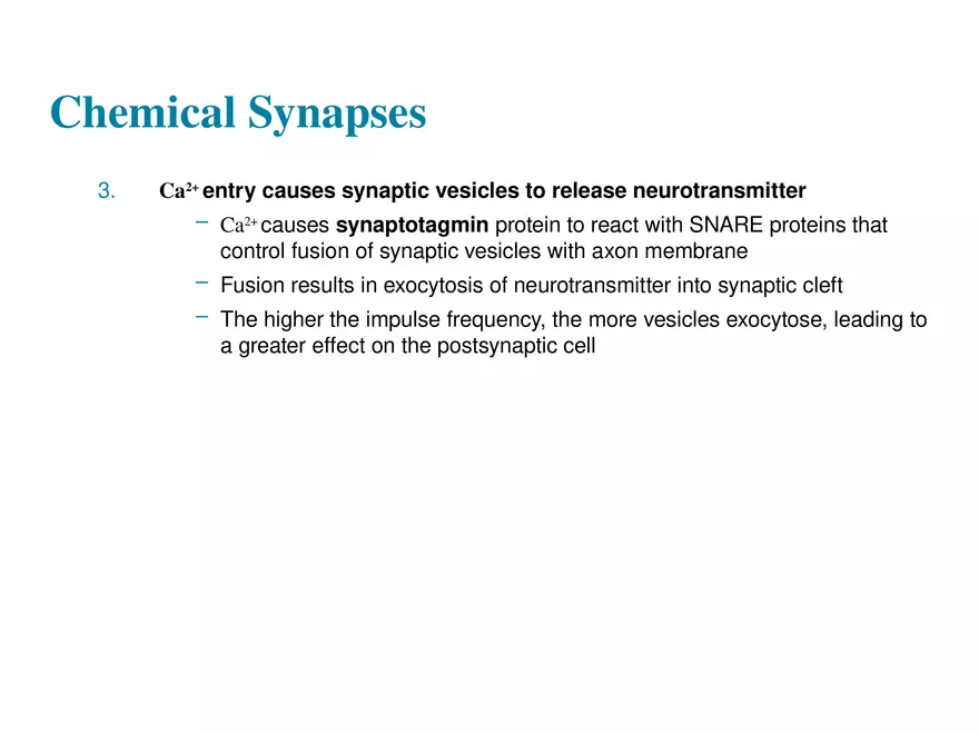 Fundamentals of the Nervous System and Nervous Tissue Lectrure 10 - Page 3