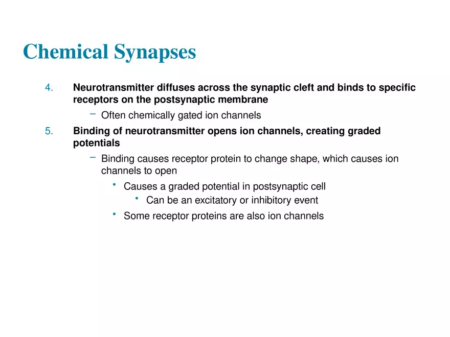 Fundamentals of the Nervous System and Nervous Tissue Lectrure 10 - Page 5