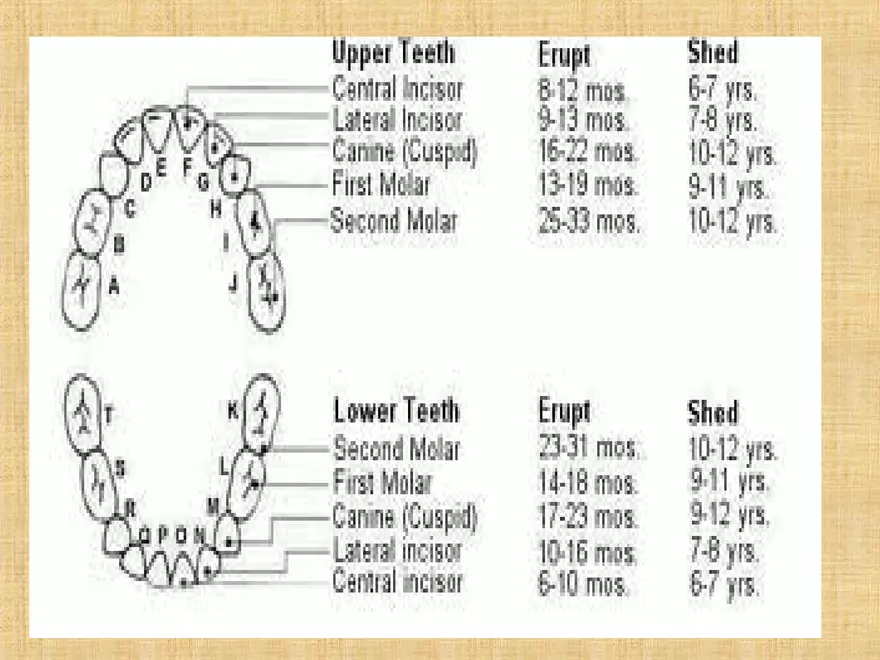 Profile of the Newborn Lecture Part 5 - Page 4