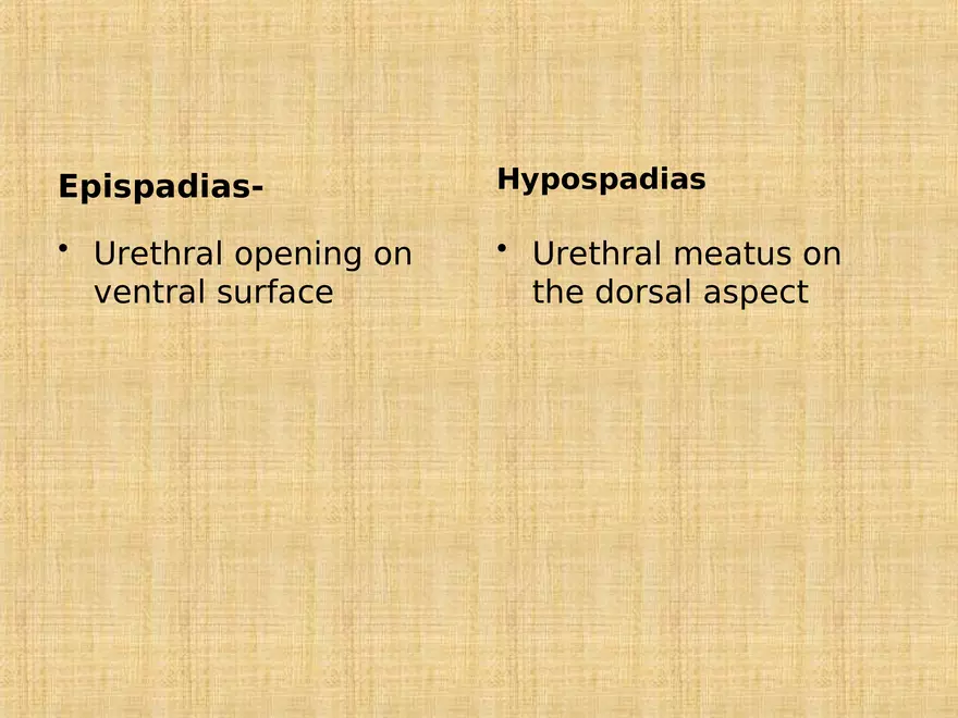 Profile of the Newborn Lecture Part 5 - Page 5