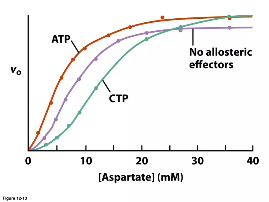 Principles of Biochemistry - Enzymes Lecture 7 - Page 7