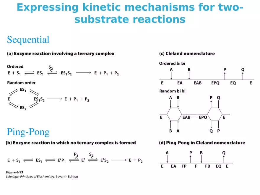 Principles of Biochemistry - Enzymes Lecture 7 - Page 3