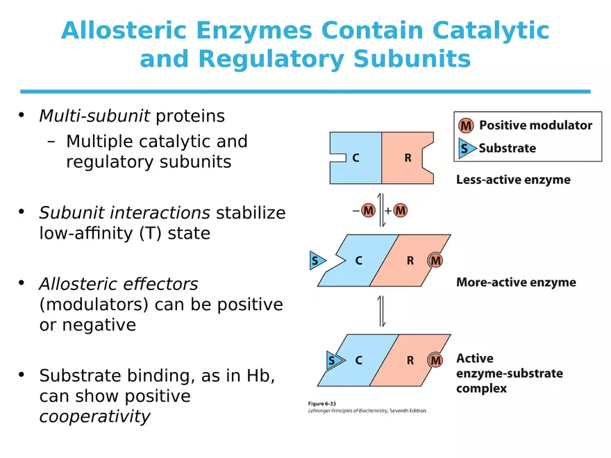 Principles of Biochemistry - Enzymes Lecture 7 - Page 4