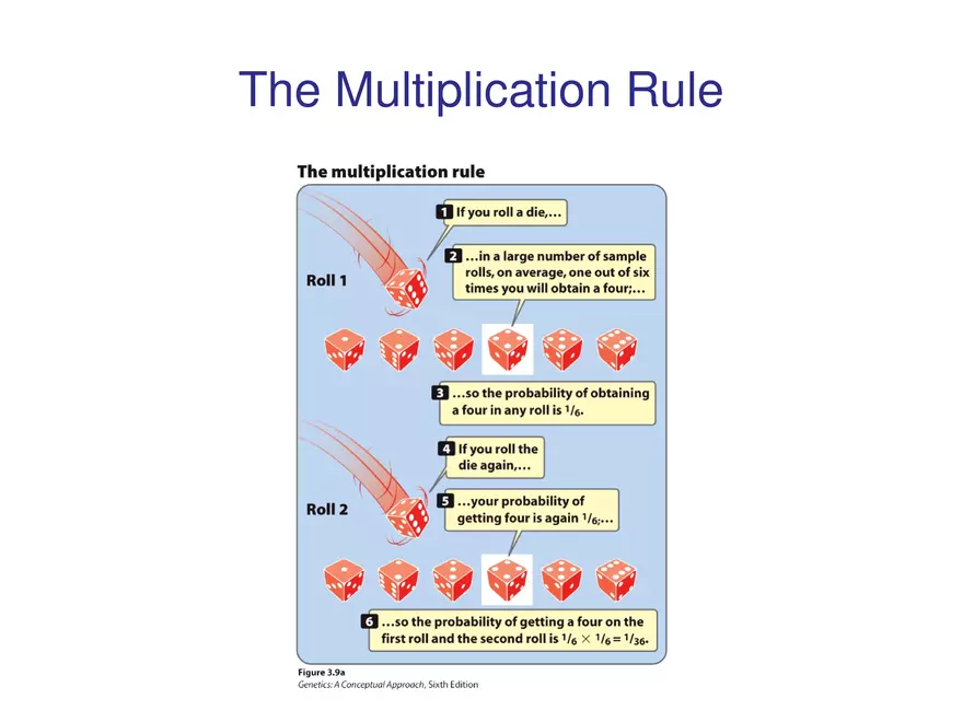 Chapter 3 Basic Principles of Heredity Part 3 - Page 5