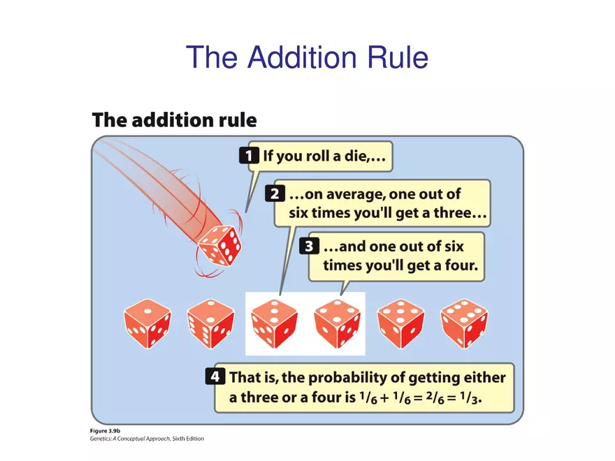 Chapter 3 Basic Principles of Heredity Part 3 - Page 6