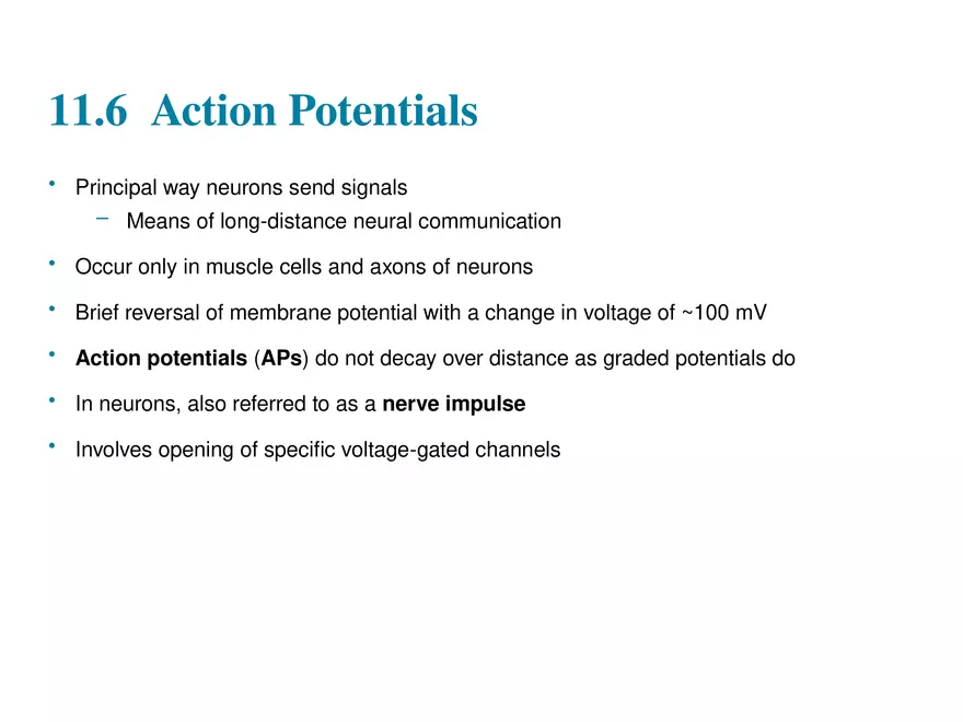 Fundamentals of the Nervous System and Nervous Tissue Lectrure 6 - Page 11
