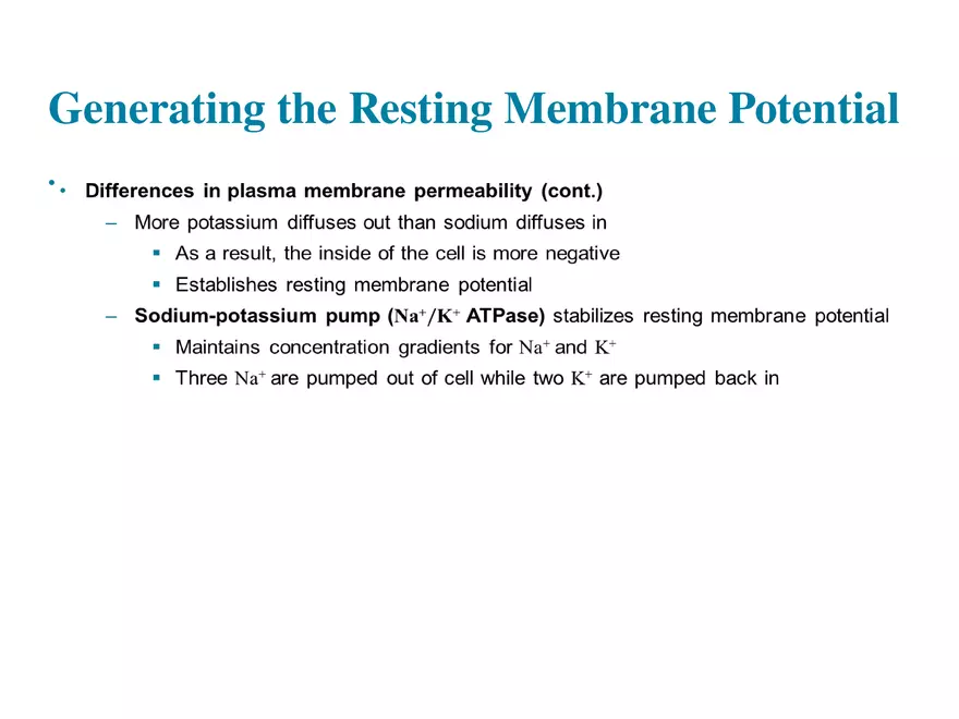Fundamentals of the Nervous System and Nervous Tissue Lectrure 6 - Page 1