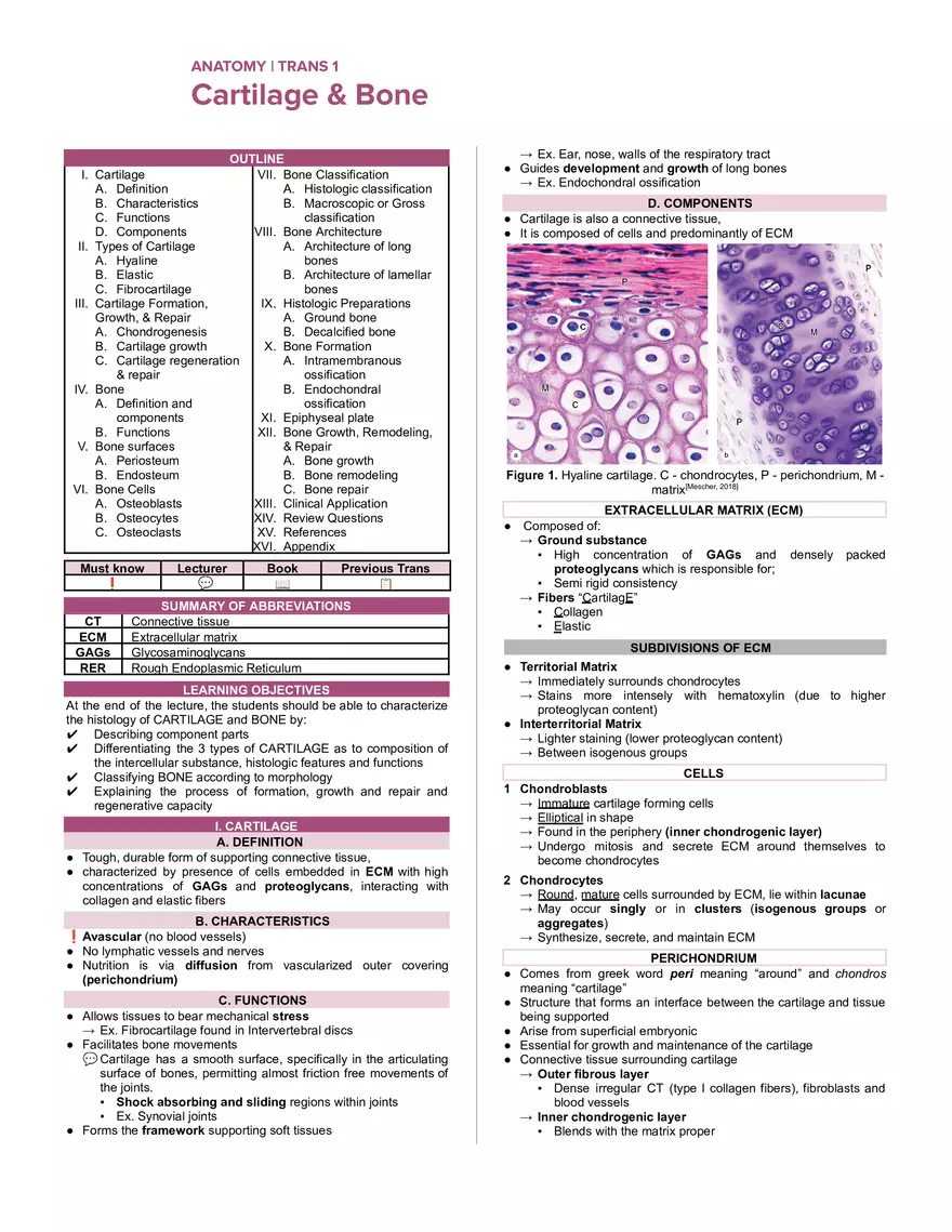 Cartilage and Bone - Page 1
