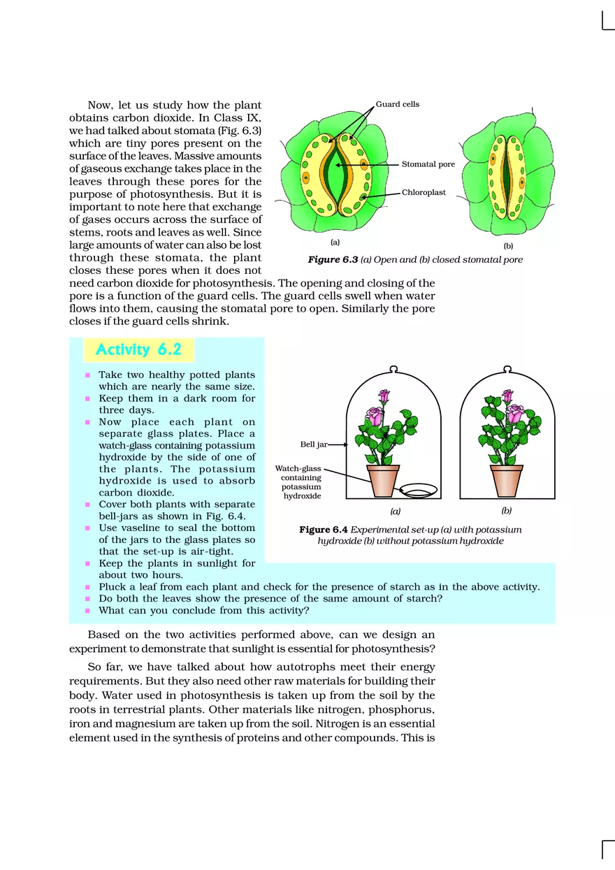 Nutrition and Autotrophic Processes - Page 3