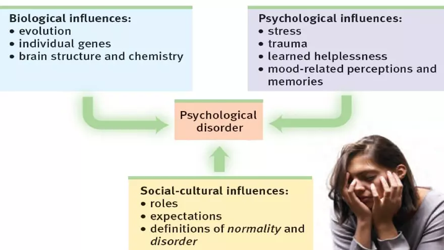 Mental and Physical Health Chapter 5 Part 4 - Page 1