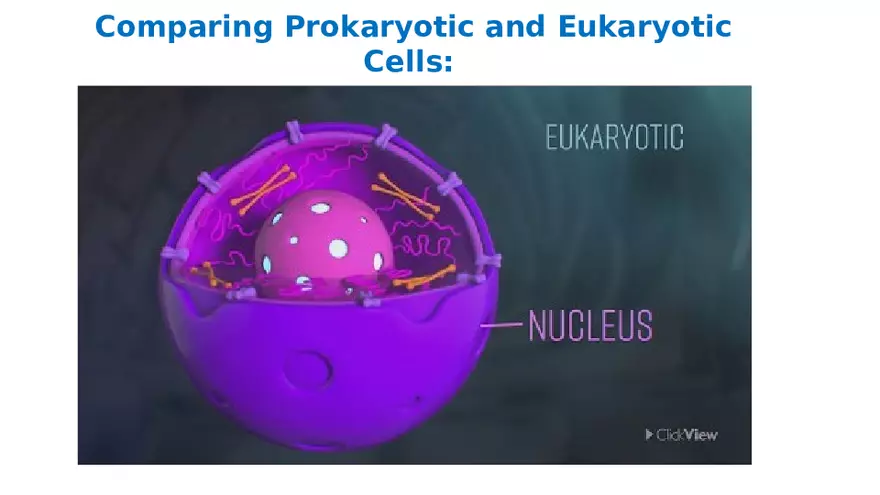 Classification of Microorganisms Lecture 1 - Page 7