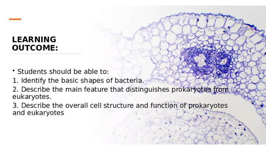 Classification of Microorganisms Lecture 1 - Page 2