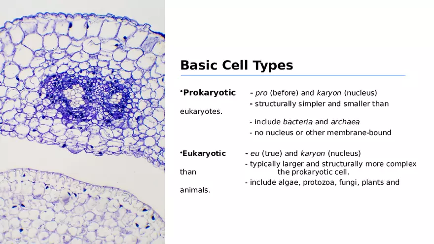 Classification of Microorganisms Lecture 1 - Page 4