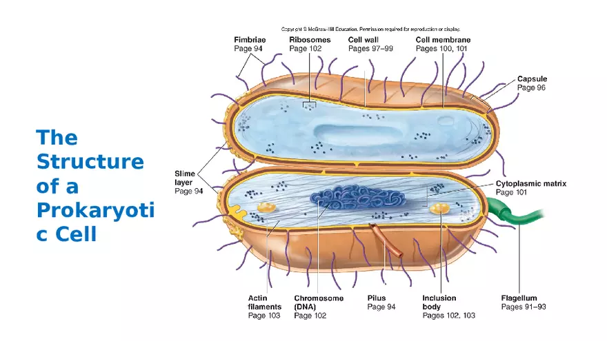 Classification of Microorganisms Lecture 1 - Page 5