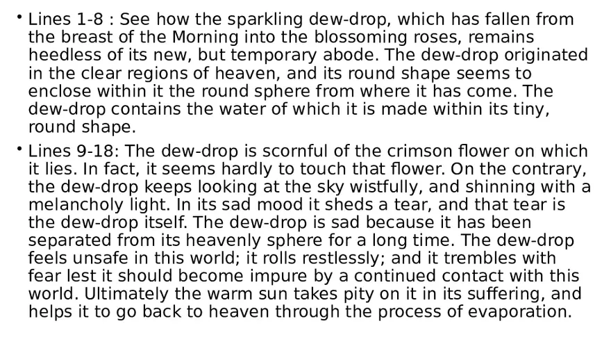 A Metaphysical Reflection on Transience and Origin - Page 4