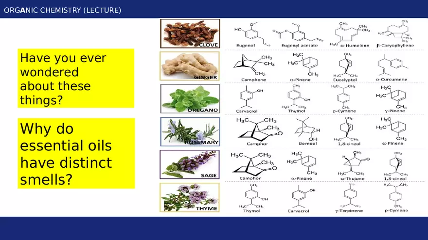 Introduction to Organic Chemistry - Module 1 Part 1 - Page 4