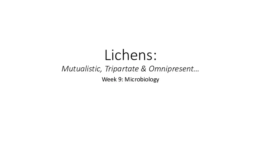 Mutualistic, Tripartate and Omnipresent - Page 1