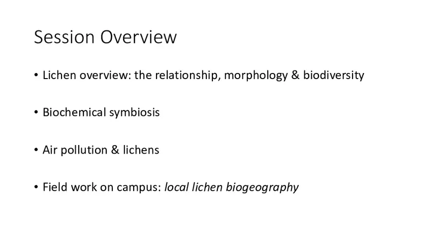 Mutualistic, Tripartate and Omnipresent - Page 2
