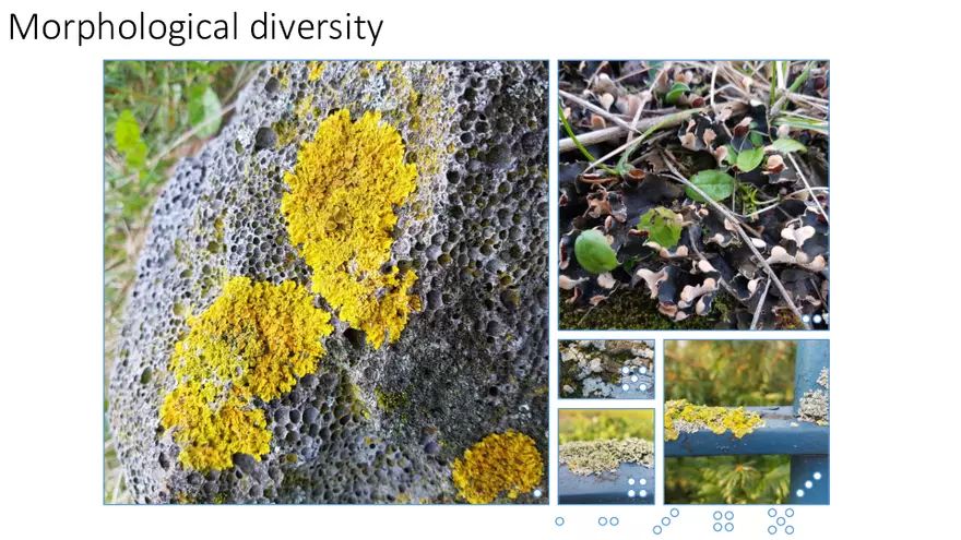 Mutualistic, Tripartate and Omnipresent - Page 3