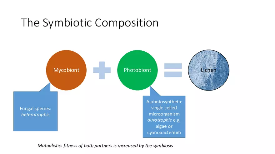 Mutualistic, Tripartate and Omnipresent - Page 4