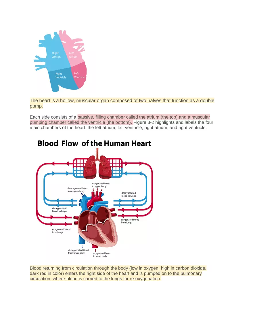 Intro to Cardiology Module 1 Guide Part 3 - Page 10
