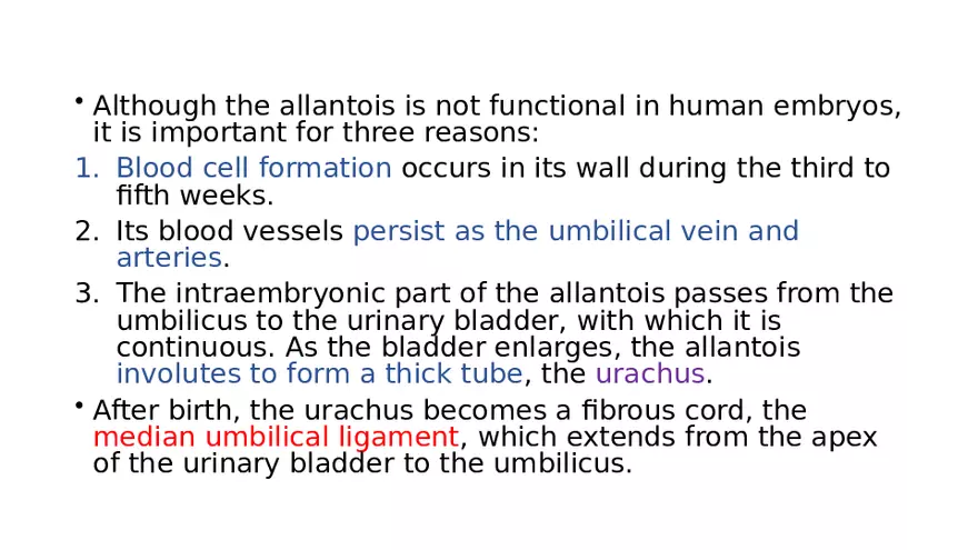 Placenta, Extraembryonic Membranes, and Multiple Pregnancies Part 6 - Page 12