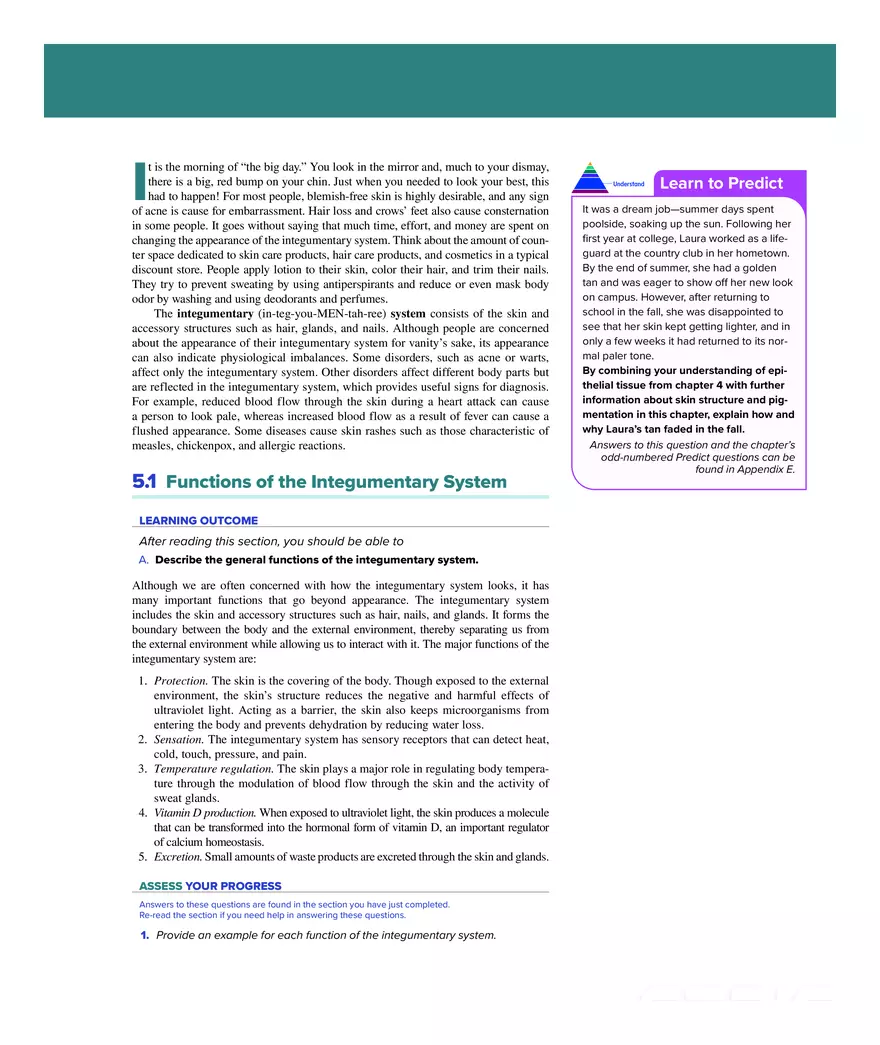 Integumentary System - Page 2