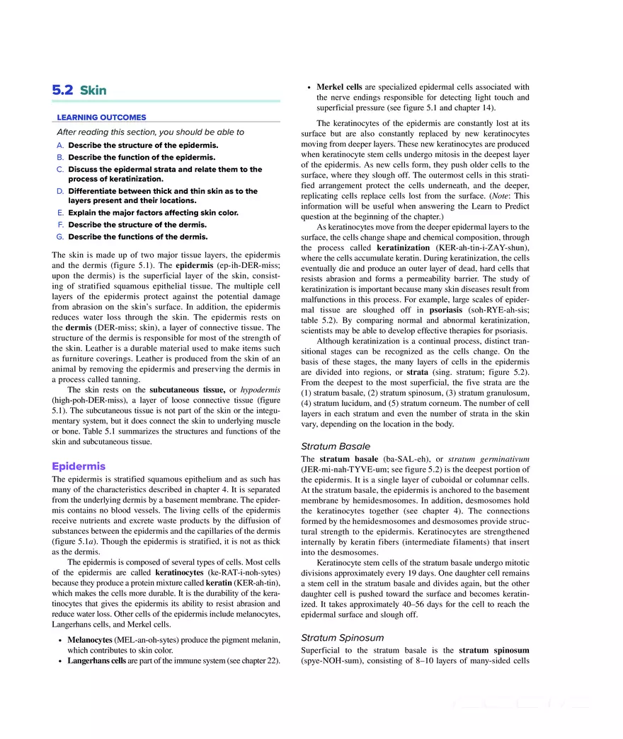 Integumentary System - Page 3