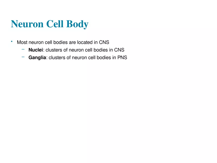 Fundamentals of the Nervous System and Nervous Tissue Lectrure 3 - Page 7