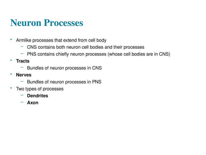 Fundamentals of the Nervous System and Nervous Tissue Lectrure 3 - Page 8