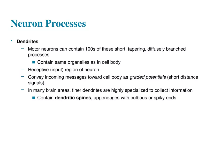 Fundamentals of the Nervous System and Nervous Tissue Lectrure 3 - Page 10