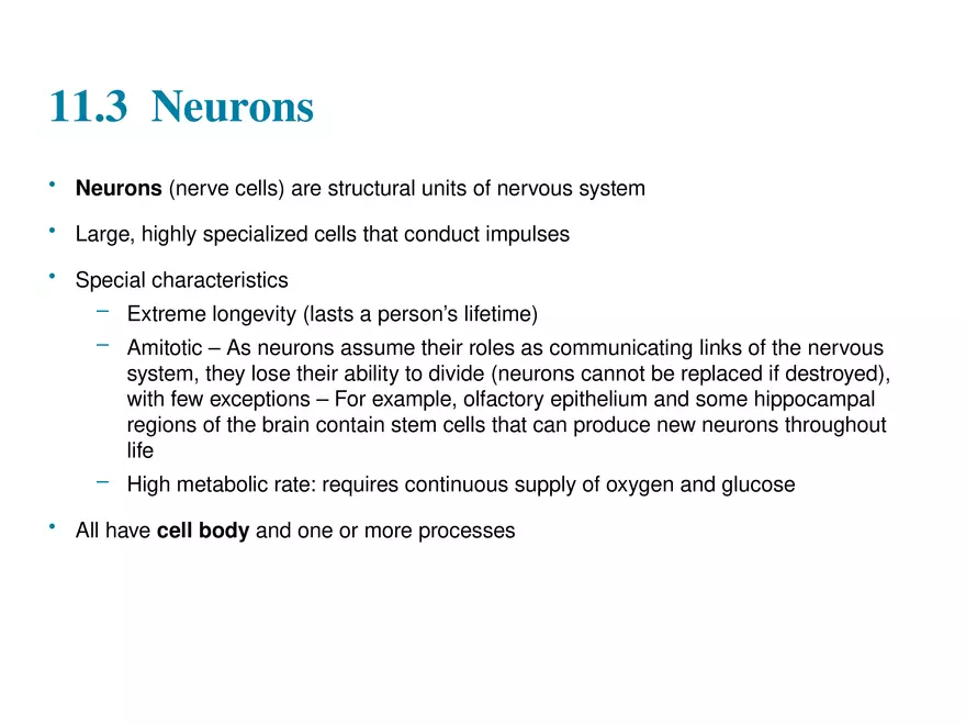 Fundamentals of the Nervous System and Nervous Tissue Lectrure 3 - Page 4