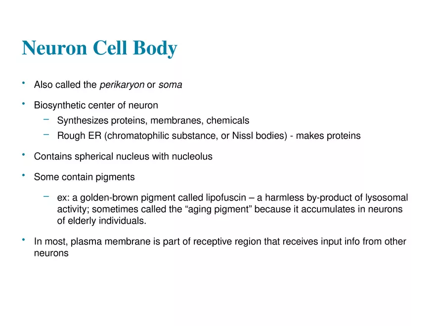 Fundamentals of the Nervous System and Nervous Tissue Lectrure 3 - Page 5