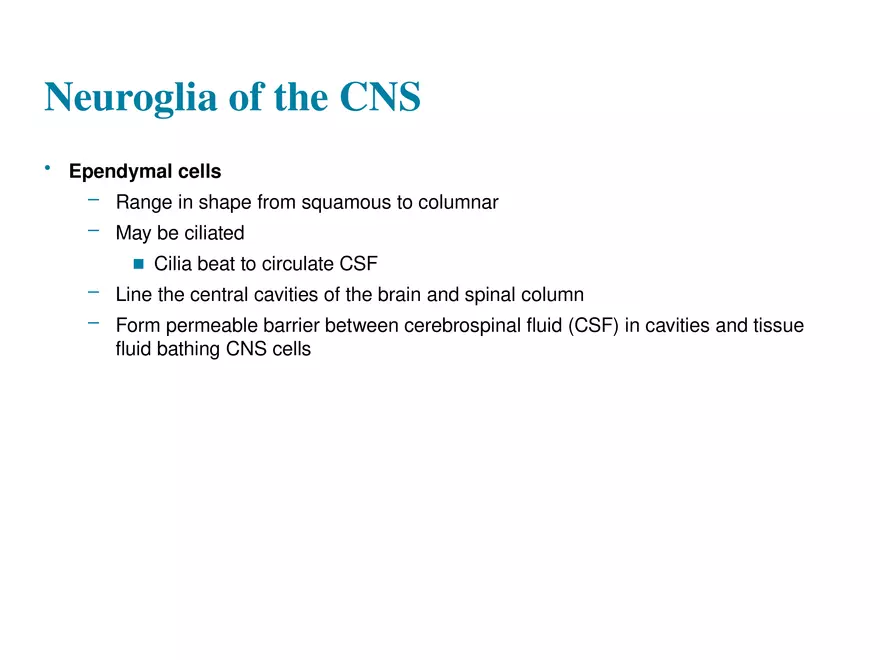 Fundamentals of the Nervous System and Nervous Tissue Lectrure 2 - Page 8