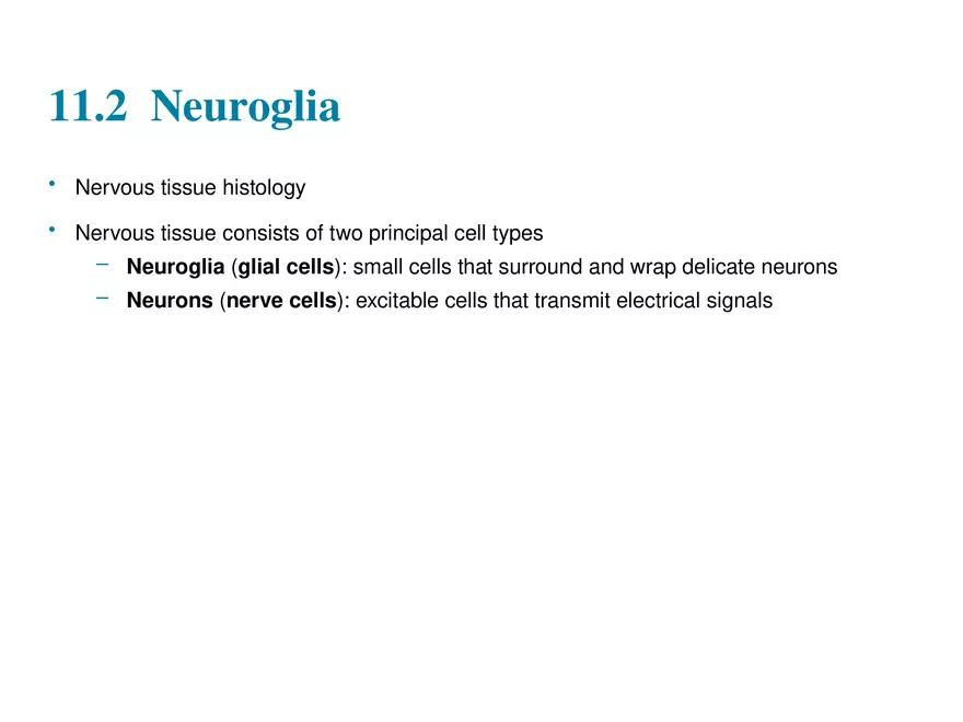Fundamentals of the Nervous System and Nervous Tissue Lectrure 2 - Page 1