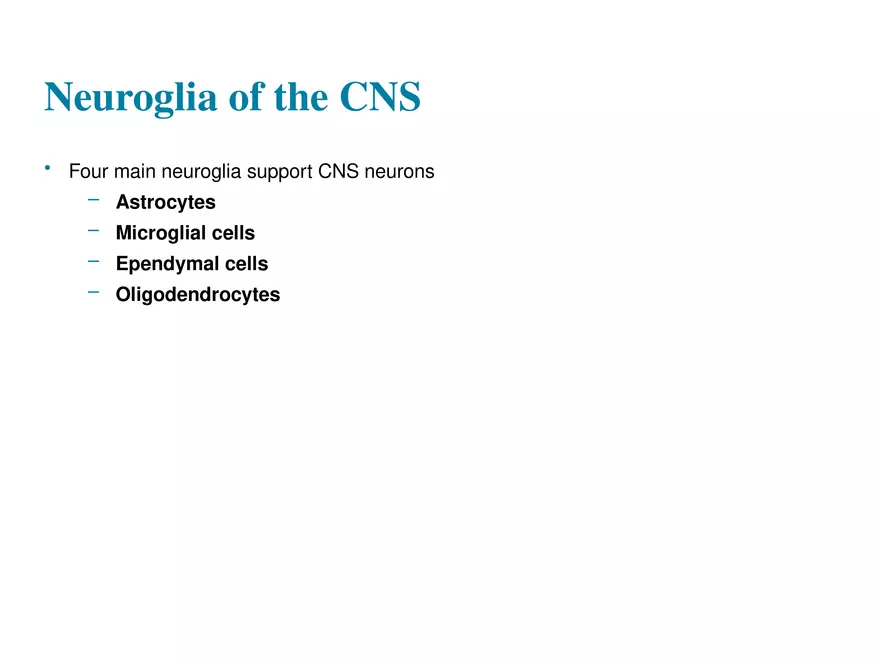 Fundamentals of the Nervous System and Nervous Tissue Lectrure 2 - Page 2