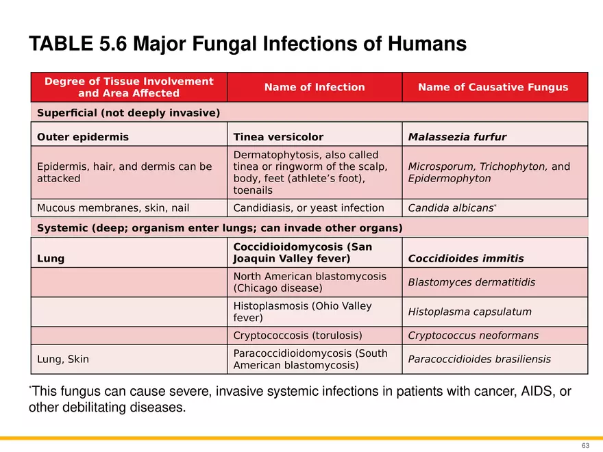 A Survey of Eukaryotic Cells and Microorganisms Part 7 - Page 2