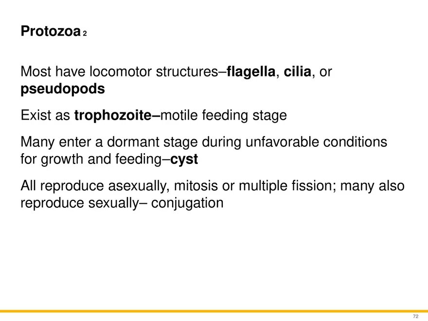 A Survey of Eukaryotic Cells and Microorganisms Part 7 - Page 3